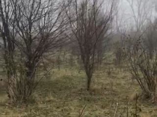 Продам зем участок асфальтная дорога фото 2 Пятигорский