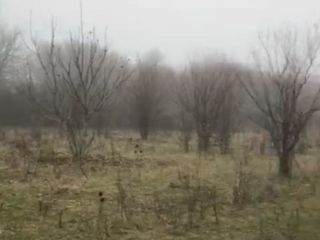 Продам зем участок асфальтная дорога фото 3 Пятигорский