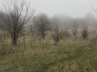 Продам зем участок асфальтная дорога фото 4 Пятигорский