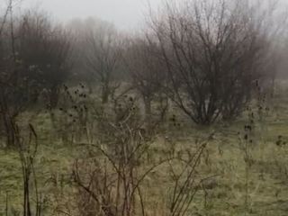 Продам зем участок асфальтная дорога фото 8 Пятигорский