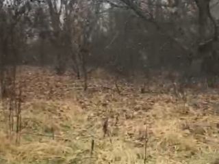 Продам зем участок асфальтная дорога фото 9 Пятигорский