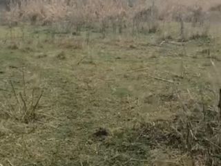 Продам зем участок асфальтная дорога фото 10 Пятигорский