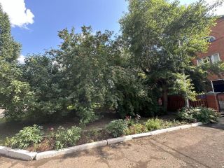 Продаю кирпичный дом асфальтная дорога фото 18 Оренбург.