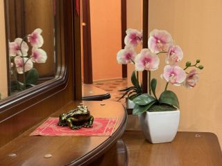 Продам трешку кирпичный фото 16 Оренбург.