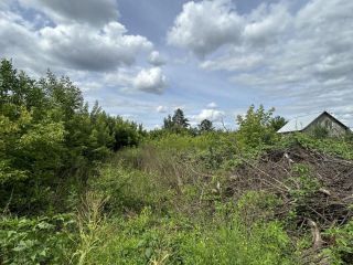 Продается земельный участок своя скважина фото 2 Оренбург.