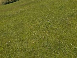 Продаю зем участок возможен торг фото 4 Снежный