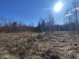 Продаю участок земли асфальтная дорога взрослый собственник фото 2 Шатура