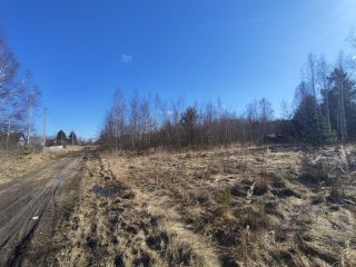 Продаю участок земли асфальтная дорога взрослый собственник фото 3 Шатура