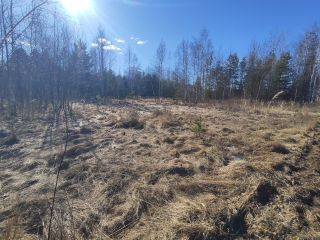 Продаю участок земли асфальтная дорога взрослый собственник фото 4 Шатура