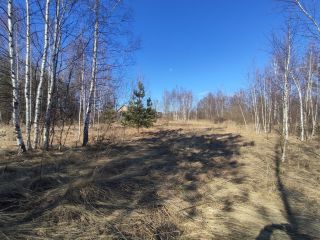 Продаю участок земли асфальтная дорога взрослый собственник фото 5 Шатура