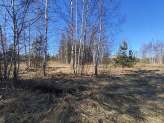 Продаю участок земли асфальтная дорога взрослый собственник фото 6 Шатура