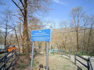 Продам деревянный коттедж ремонт по авторскому проекту с мебелью посуточная аренда фото 8 Сочи