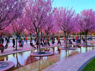 Продам однокомнатную квартиру фото 3 Краснодар