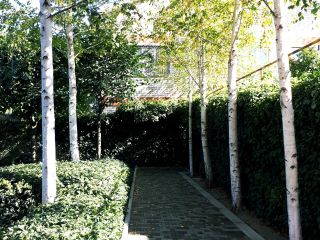 Продается кирпичный дом требуется косметический ремонт с коммуникациями фото 5 Станица Северская