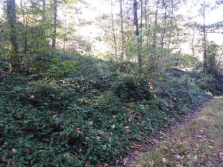 Продается зем участок фото 2 Сочи