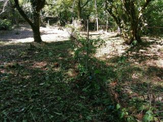 Продается земельный участок фото Сочи