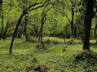 Продается земельный участок фото 2 Сочи