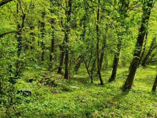 Продается земельный участок фото 3 Сочи