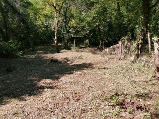 Продается земельный участок фото 4 Сочи