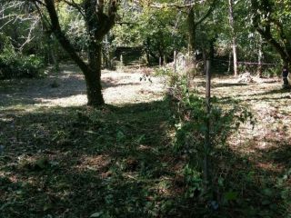 Продается земельный участок фото 5 Сочи