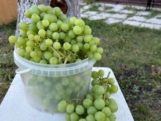 Продам дачу евроремонт возможен торг с плодоносящим садом фото 3 Магнитогорск