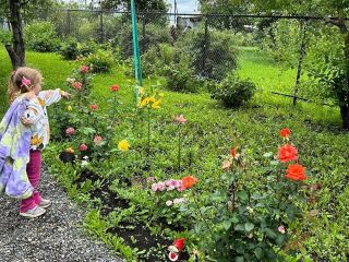 Продам дачу евроремонт возможен торг с плодоносящим садом фото 10 Магнитогорск