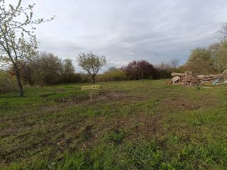 Продается земельный участок фото 3 Выселки