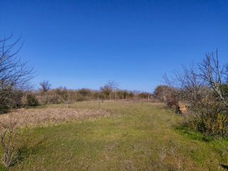 Продается зем участок документы на руках подключена канализация фото 5 Сакский район, Митяевское сельское поселение, СНТ