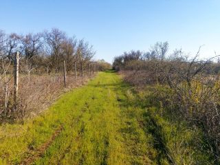 Продается зем участок документы на руках подключена канализация фото 13 Сакский район, Митяевское сельское поселение, СНТ