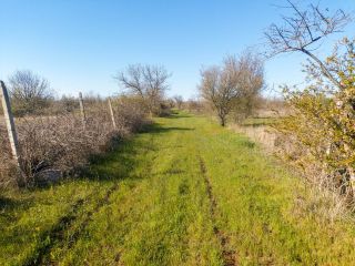 Продается зем участок документы на руках подключена канализация фото 14 Сакский район, Митяевское сельское поселение, СНТ