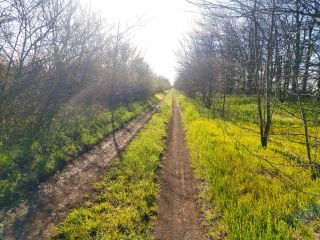 Продается зем участок документы на руках подключена канализация фото 15 Сакский район, Митяевское сельское поселение, СНТ