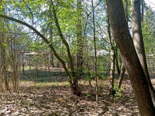 Продается участок земли круглогодичный подъезд с коммуникациями фото 2 Пушкино