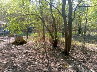 Продается участок земли круглогодичный подъезд с коммуникациями фото 5 Пушкино