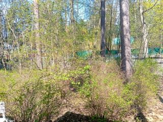 Продается участок земли круглогодичный подъезд с коммуникациями фото 6 Пушкино