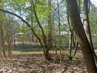 Продам деревянный дом с коммуникациями круглогодичный подъезд фото Пушкино