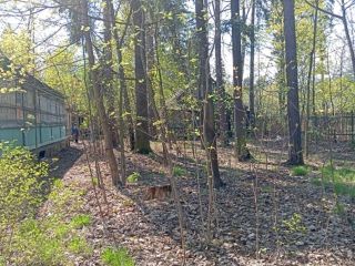 Продам деревянный дом с коммуникациями круглогодичный подъезд фото 6 Пушкино