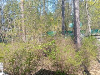 Продам деревянный дом с коммуникациями круглогодичный подъезд фото 20 Пушкино