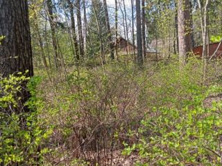 Продам деревянный дом с коммуникациями круглогодичный подъезд фото 21 Пушкино