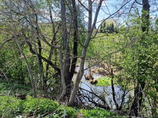 Продаю зем участок рядом асфальт красивый фото 4 Асеньевское