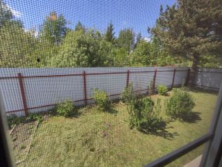 Продаю деревянный дом есть баня в садовом некоммерческом товариществе фото 9 Шатура