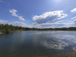 Продаю деревянный дом есть баня в садовом некоммерческом товариществе фото 36 Шатура