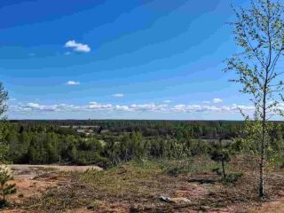 Продаю зем участок рядом асфальт фото 5 Остров