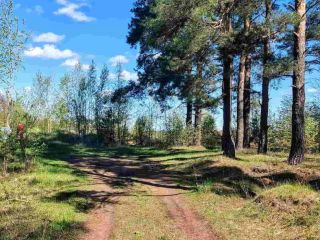 Продаю зем участок рядом асфальт фото 7 Остров