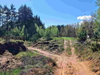 Продаю зем участок рядом асфальт фото 8 Остров