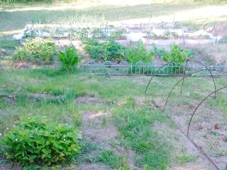 Продам дачу косметический ремонт документы в полном порядке фото 3 Филипцево