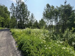 Продаю участок земли круглогодичный подъезд в садовом некоммерческом товариществе фото 9 Выборг