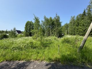 Продаю участок земли круглогодичный подъезд в садовом некоммерческом товариществе фото 10 Выборг