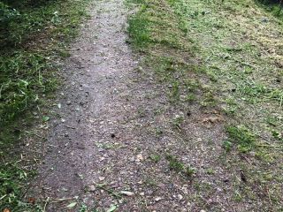 Продается дача косметический ремонт в садовом некоммерческом товариществе есть баня фото 13 Трубников Бор