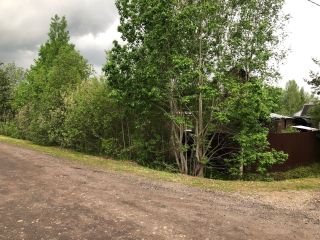 Продается дача косметический ремонт в садовом некоммерческом товариществе есть баня фото 18 Трубников Бор