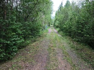 Продается дача косметический ремонт в садовом некоммерческом товариществе есть баня фото 19 Трубников Бор